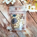 GRAINES DE LOTUS SECHÉES 100G(莲子)