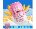 天惠奶啤 300ML