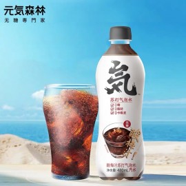 (卖光啦)元气森林无糖专门家苏打气泡水汽水 酸梅汁 480ML