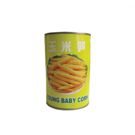EPIS DE MAIS EN CONSERVE TINLUNG 425G(天龙牌玉米笋)