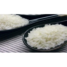 (卖光啦)百禄堂茉莉香米 大米 4.5KG