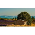Savon De Marseille 100g-Mimosa De Provence