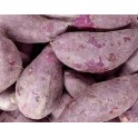 （仅限满79欧起CHRONO快递）紫薯 约850-1000克周一至周四发货